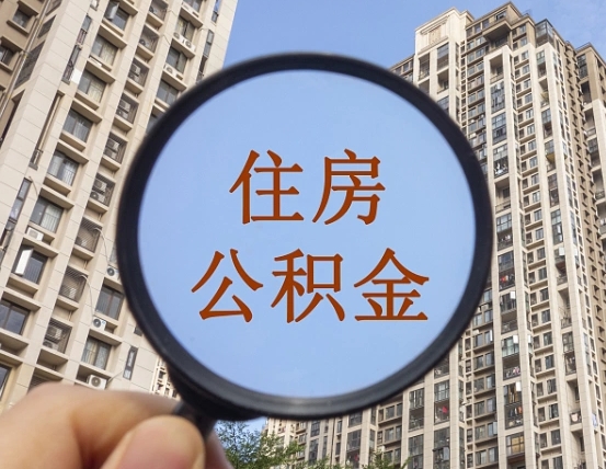 宁津退休后查不到公积金明细了吗（退休后公积金查询不到原因）